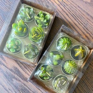 Succulent Tea Light Candles